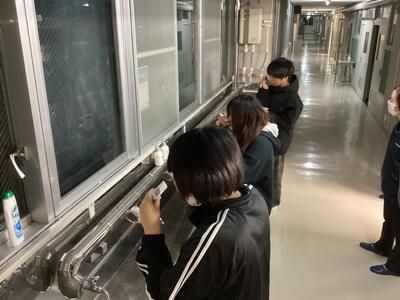 丁寧に丁寧にプラーク（歯垢）を除去してね。