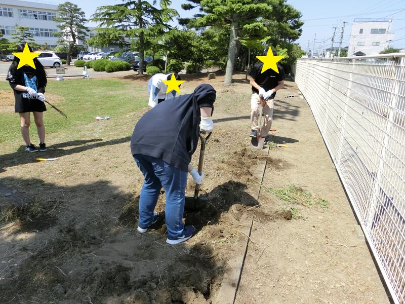 雑草の根を掘り起こし